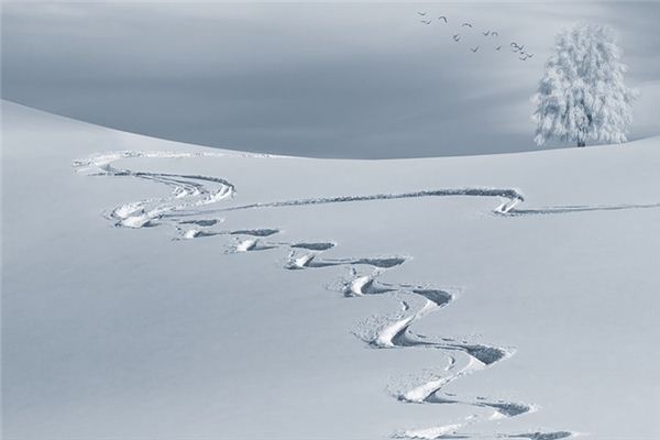 梦见扫雪是什么意思 梦见扫雪是什么意思