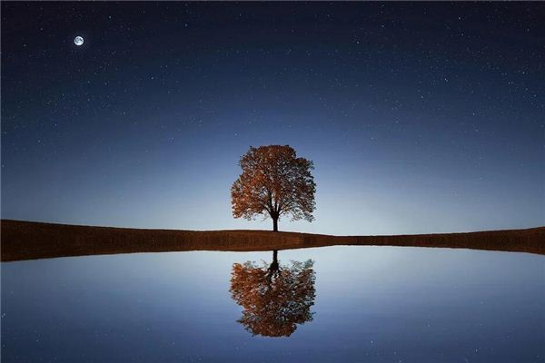 Dreaming of looking up at the stars at dawn-Interpret Dream